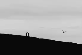 扪心自问：你真的尽力了吗？图片