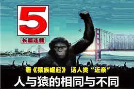 看《猿族崛起》，话人类“近亲”——人与猿的相同与不同（5）图片