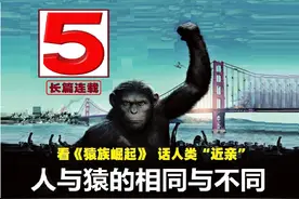 看《猿族崛起》，话人类“近亲”——人与猿的相同与不同（5）图片