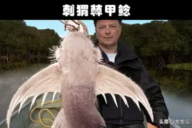 地球上发现的9种非常奇特的水生生物图片