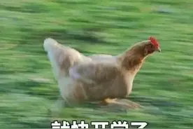 我在兄弟宿舍看见了女友. 发生在宿舍的吃瓜名场面弱弱感受下图片