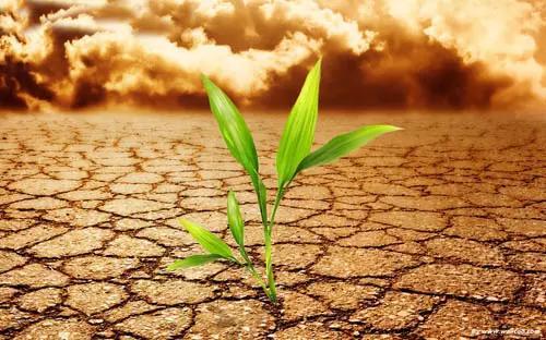 完整的土壤知识，值得收藏