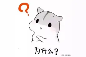 售楼小姐自曝卖房“潜规则” 买房内幕曝光！图片
