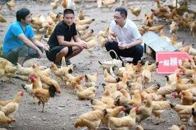 脱下军装卖农货，小县城电商带头人一年“拼”出一亿多元销量图片