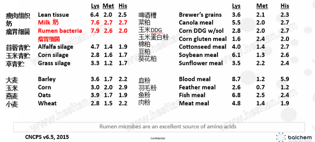 奶牛氨基酸平衡日粮——增加单产VS降低成本