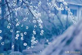 寻找冬天（现代诗）图片