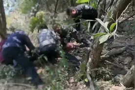 82岁痴呆老人，被困深山26小时，所幸无生命危险视频封面