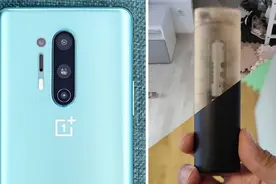 工程师官方回应一加 8 Pro“透视镜头”：属红外摄影，透视有限图片