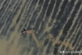 【乡村振兴】金盆村：大闸蟹迎丰收 小产业助农富图片