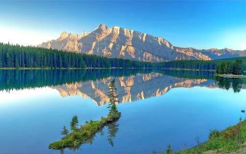 回归教材5　遗传的分子基础（填空和判断）