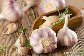 大蒜放久了容易干瘪长芽，教你4个保存妙招，放一冬都新鲜如初图片