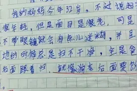 小学生作文《小姨》走红，人物描写太真实，小姨：嫁不出去都赖你图片