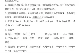 《雷锋叔叔，你在哪里》、《千人糕》、《一匹出色的马》讲解图片
