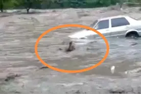 跳入山洪救出落水女子的沁阳小伙，获评阿里巴巴天天正能量特别奖图片