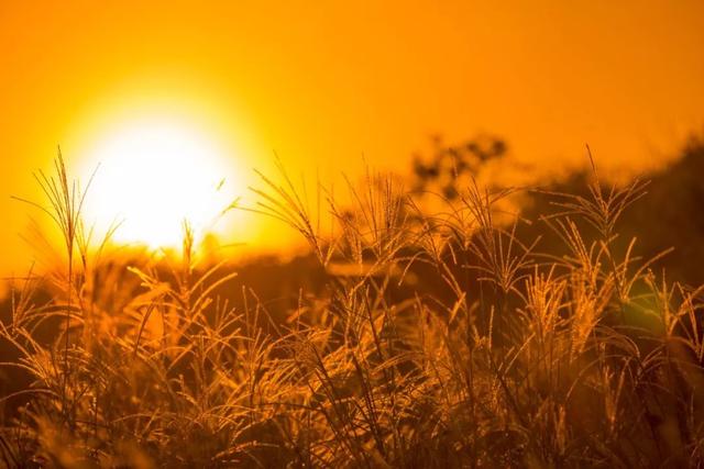 130句关于爱国的古诗词名句，终于整理全了