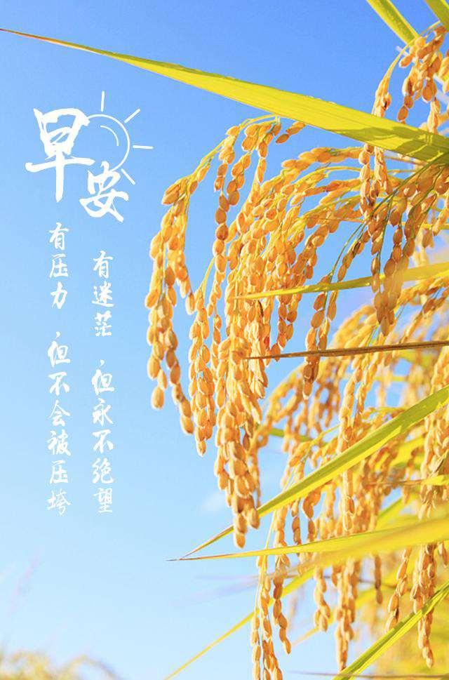 7月25日正能量励志早安心语说说 周六微信早上好阳光图片日签带字