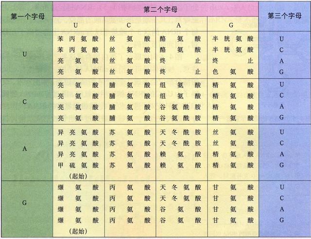 人类基因编辑抵御艾滋事件热点追踪（一）：浅析基因