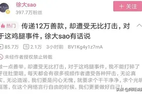 up主徐大sao回应诈捐，称其将无限期停更图片
