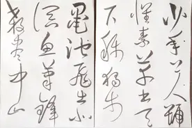 草书长卷：飘风骤雨惊飒飒，落花飞雪何茫茫！老牛书李白草书歌行图片