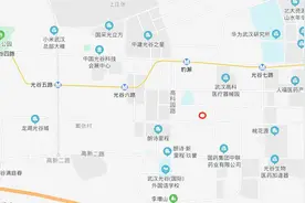 绿地武汉再增土储，底价竞得光谷东2宗地 世茂、金科也有斩获图片