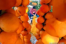 山西农村58岁大叔 过着城市不换的好生活 远离村庄种金蛋蛋图片
