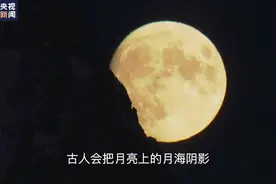 文物里的中秋丨蟾蜍=月亮？浙江省博物馆带你涨知识图片