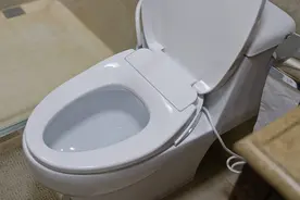 马桶怎么选？一分钱一分货？别听导购忽悠，关注六个方面就够了图片