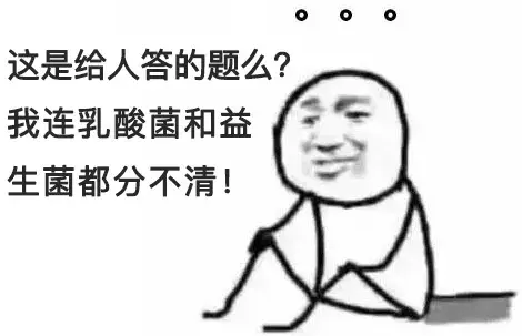 乳酸菌身体乳是啥