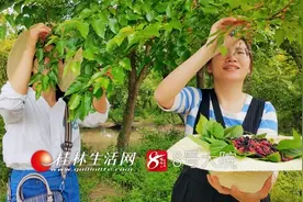桂林凤凰镇：水西沙洲地惹得游人醉图片