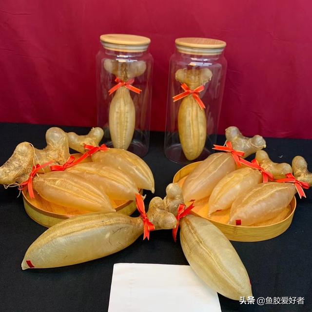 蜘蛛胶有什么功效 价钱 2026年蜘蛛胶有什么功效,价钱 蜘蛛胶有什么功效 价钱 2026年蜘蛛胶有什么功效,价钱