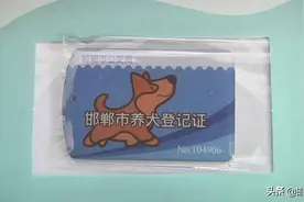 养犬需办证 带上这四样图片