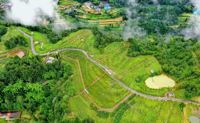 航拍旺苍美丽乡镇，云雾笼罩像是披上了一层轻纱，似仙女下凡