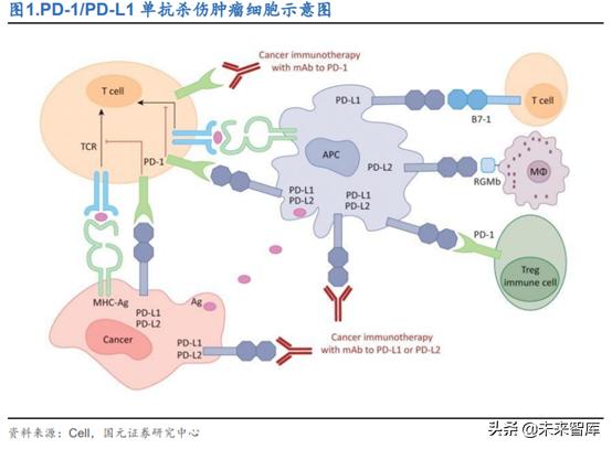 创新药之创新靶点深度研究