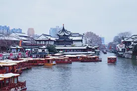 2020年的第一场雪，一下雪，南京就美成了金陵图片
