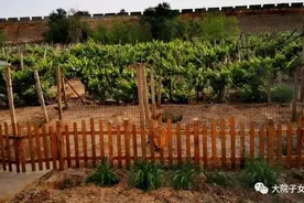 军营故事汇（二十）│山野闲人《我与发小“老王”》图片