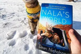 苏格兰男子旅行被流浪猫跟踪，无奈带上小猫陪伴他周游各国图片