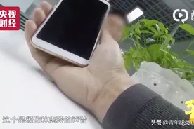 为什么总会接到贷款等电话，关于钱和手机聊聊你不知道的那些事图片