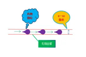 7微米头孢（盐酸头孢噻呋注射液）图片