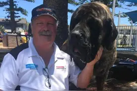 爷爷喜欢抱着“狗孙儿”，都已经250斤了，还当自己是小奶狗图片