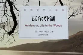 好书推荐 | 瓦尔登湖图片