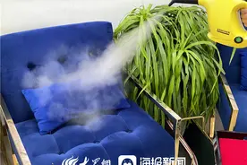 线上预约、直播带流   德州美容行业逐渐回暖图片