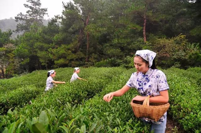 EDTA、糖醇、鳌合、络合…这些都是啥？为什么标上它价钱就高了？