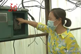 村民们终于用上电了！多出来的电费是咋回事？村委会：已经向公安机关报案图片