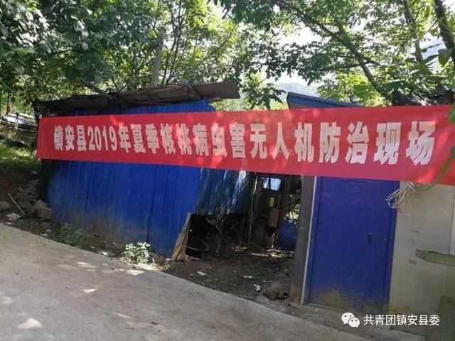 镇安县首次开展核桃病虫害无人机飞防工作