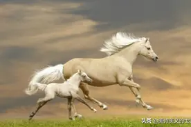 二流诗人写首很“怂”的诗，却力压多位高手，入选《唐诗三百首》图片
