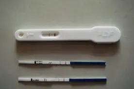 验孕棒也会“说谎”：除了怀孕之外，这3种情况也会出现两条线图片