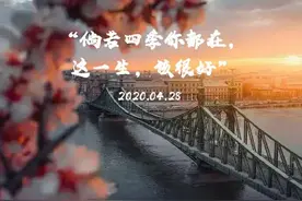 老姨推文:《风月》《十三幺》《崽崽》图片