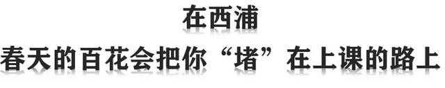 苏州“贵族” :西交利物浦