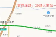 市区赏花公交专线39路开通图片
