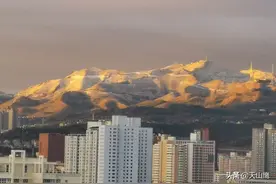 胡天八月即飞雪图片